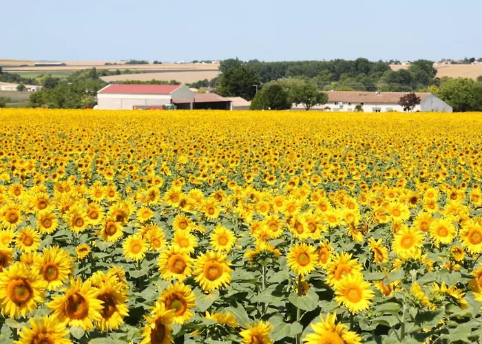 A La Ferme Διαμέρισμα